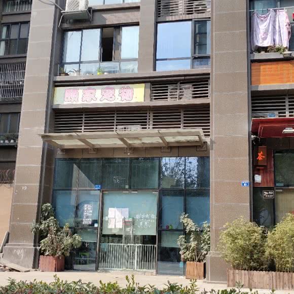 颐家宠物:成都市成华区万年场/万象城附近