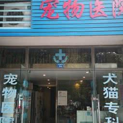 爱贝尔宠物医院:成都市成华区万年场/万象城附近