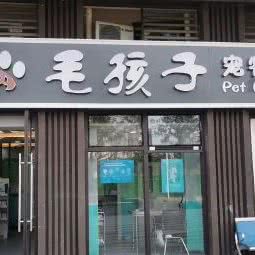 毛孩子宠物医院:成都市成华区成都东站附近