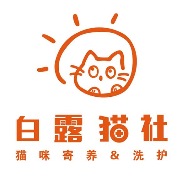 白露猫社·猫咪寄养洗护:北京城区朝阳区青年路附近