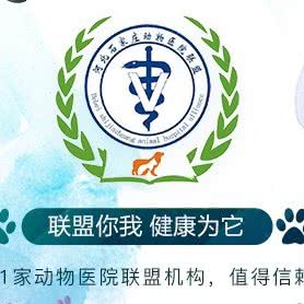小动物·动物医院联盟:石家庄市桥西区友谊公园附近