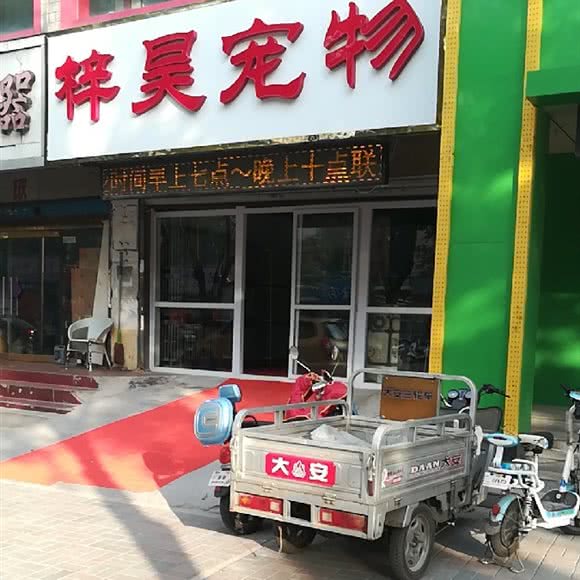 梓昊宠物:石家庄市桥西区南花园步行街附近