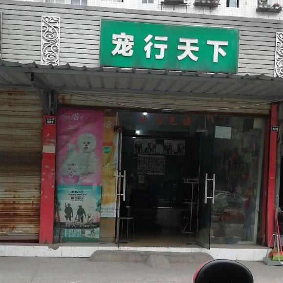 宠行天下(农平路):成都市龙泉驿区十陵镇附近
