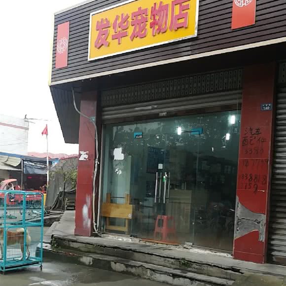 发华宠物店:成都市龙泉驿区十陵镇附近