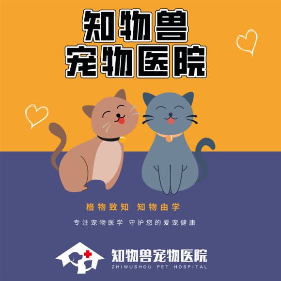 知物兽宠物医院:成都市龙泉驿区世茂城附近