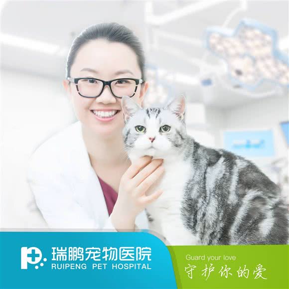 瑞鹏宠物医院(关爱分院):成都市龙泉驿区客运总站附近