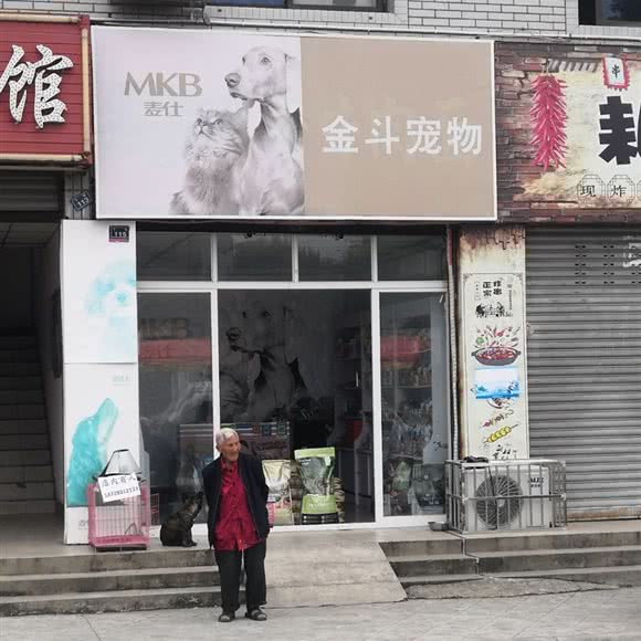 金斗宠物:成都市青白江区青白江区附近