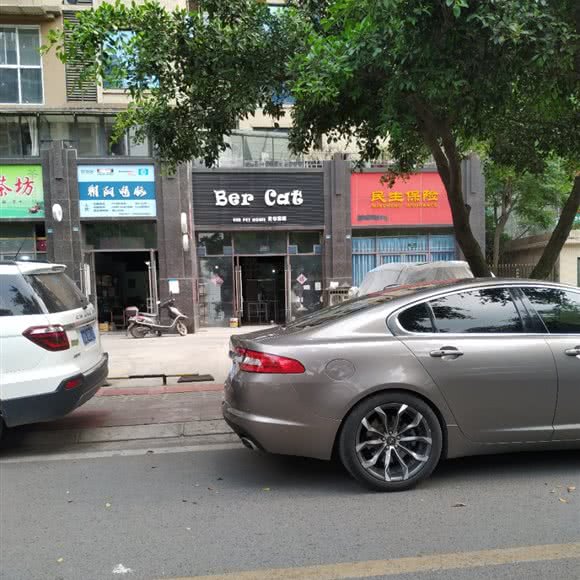 贝尔宠屋:成都市青白江区青白江区附近