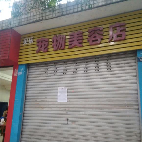 贝乐宠物美容店:成都市青白江区青白江区附近