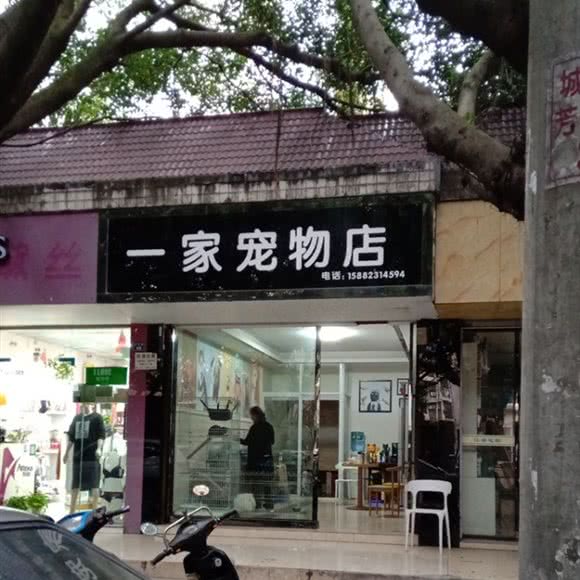 一家宠物店:成都市青白江区青白江区附近