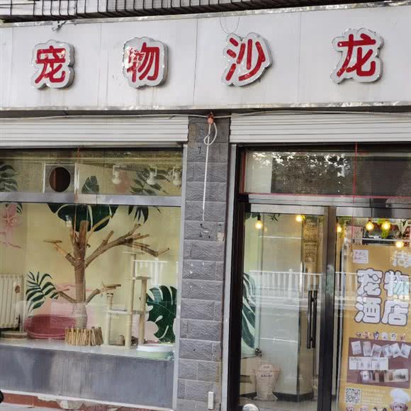 洁美宠物沙龙(裕华西路店):石家庄市桥西区时光街附近