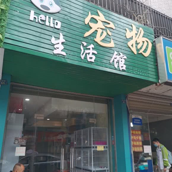 hello宠物生活馆:成都市新都区新都镇附近