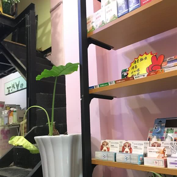 Ai宠宠物生活馆:成都市新都区新都镇附近