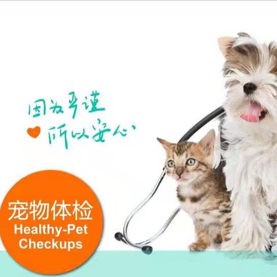 鸣望动物诊所:成都市新都区新都镇附近