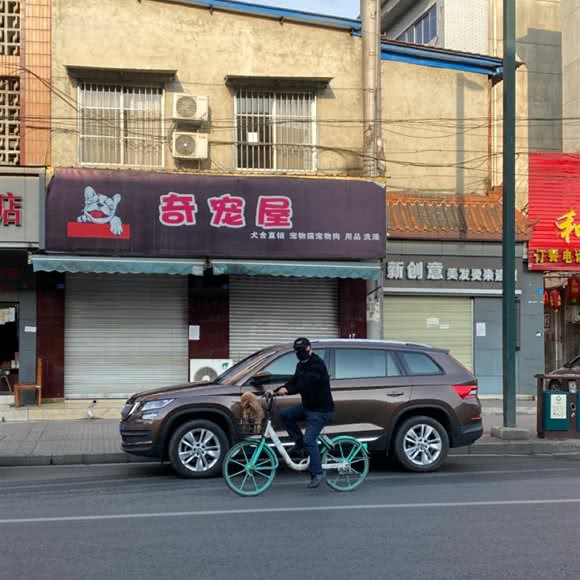 奇宠屋:成都市新都区新都镇附近