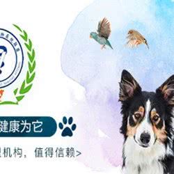 宠宝贝·动物医院联盟:石家庄市桥西区时光街附近