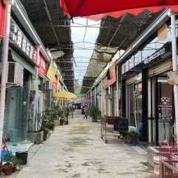 温江区宠物市场:成都市温江区万春镇附近
