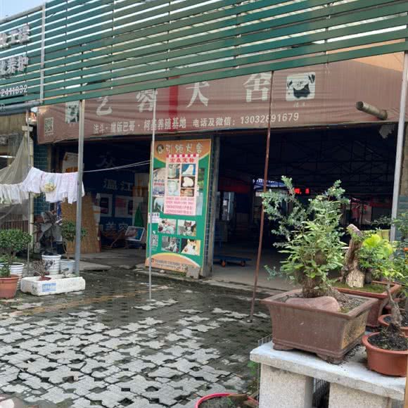 艺蓉犬舍:成都市温江区万春镇附近