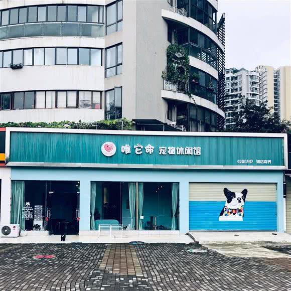 唯它命宠物休闲馆:成都市温江区公平街道附近