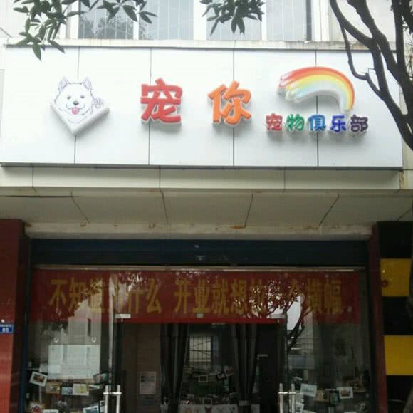 宠你宠物俱乐部:成都市温江区柳城街道附近