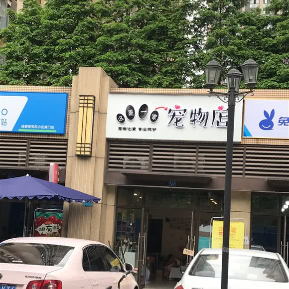 这是一家宠物店:成都市双流区华阳镇街道附近