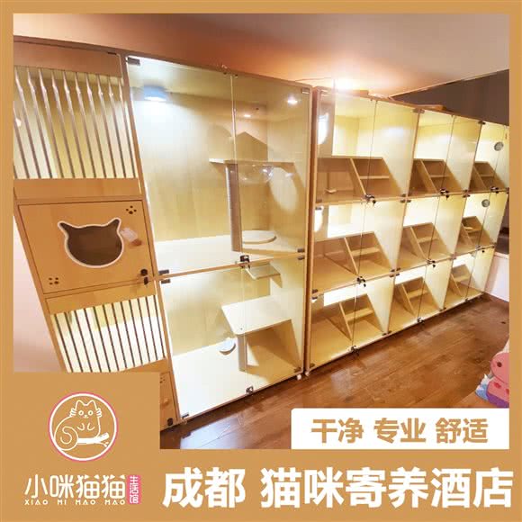 小咪猫猫生活馆:成都市双流区华阳镇街道附近