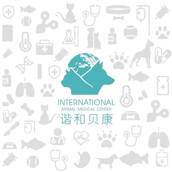 谐和贝康宠物医院24小时(急重症转诊中心):成都市双流区华阳镇街道附近