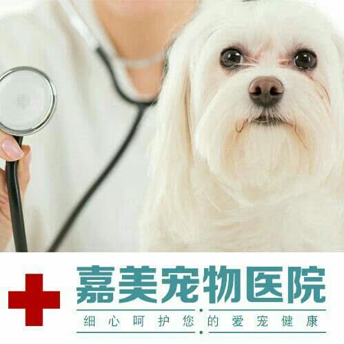 嘉美宠物医院:成都市双流区华阳镇街道附近