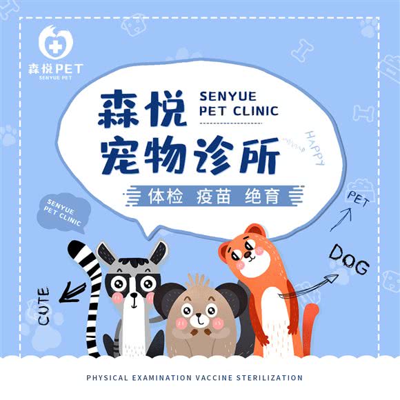 森悦宠物:成都市双流区华阳镇街道附近