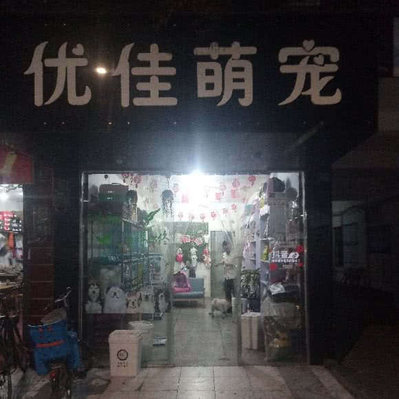 优佳萌宠:成都市新津区新津区附近
