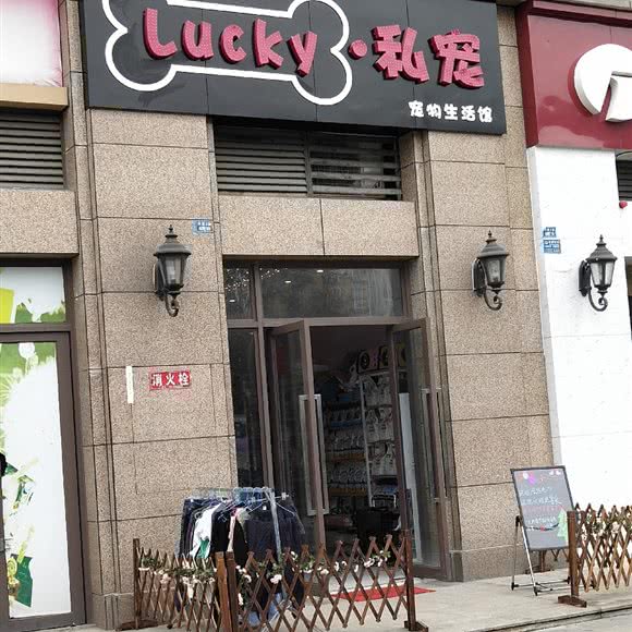 LUCKY私宠:成都市新津区新津区附近