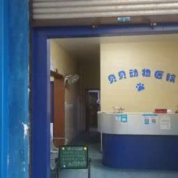 贝贝动物医院:成都市都江堰市滨江街道附近