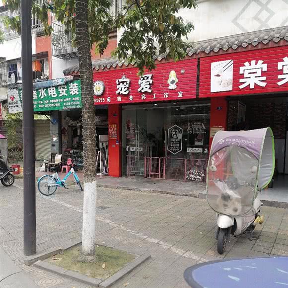 宠爱宠物美容工作室:成都市都江堰市幸福镇附近