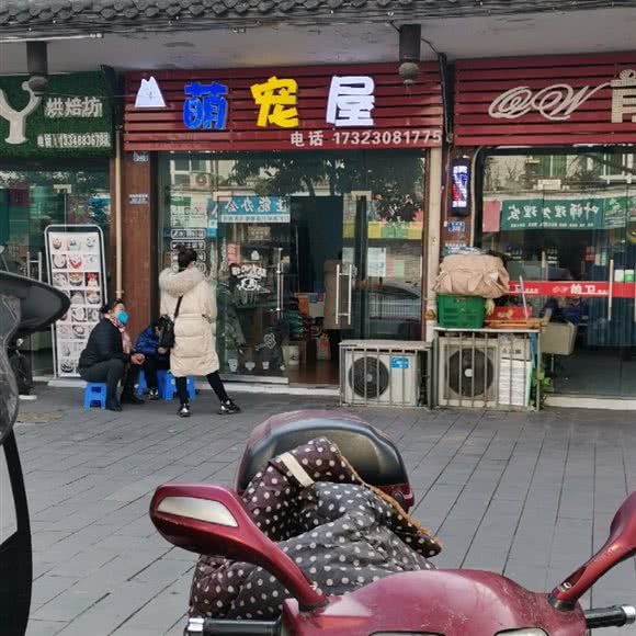 萌宠屋:成都市邛崃市邛崃市附近