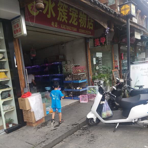 水簇宠物店:成都市邛崃市邛崃市附近