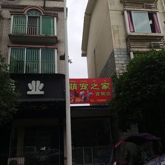萌宠之家宠物店:成都市邛崃市邛崃市附近