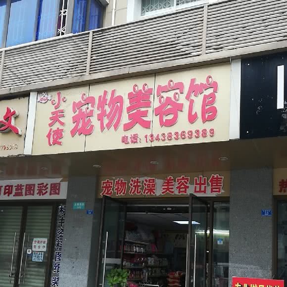 小天使宠物美容馆:成都市崇州市崇州市附近