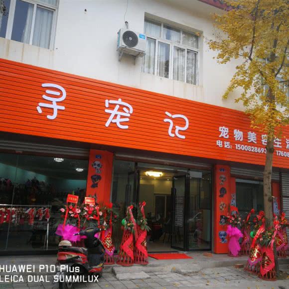 寻宠记:成都市崇州市崇州市附近