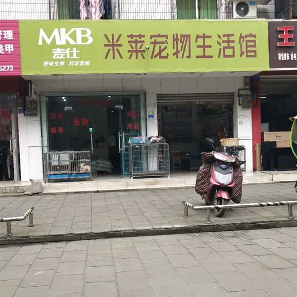 麦仕米莱宠物生活馆:成都市崇州市崇州市附近