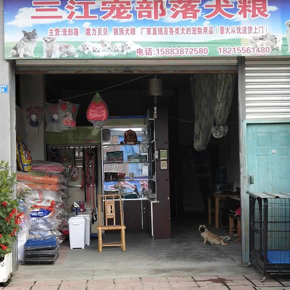 三江宠部落犬粮:成都市崇州市崇州市附近