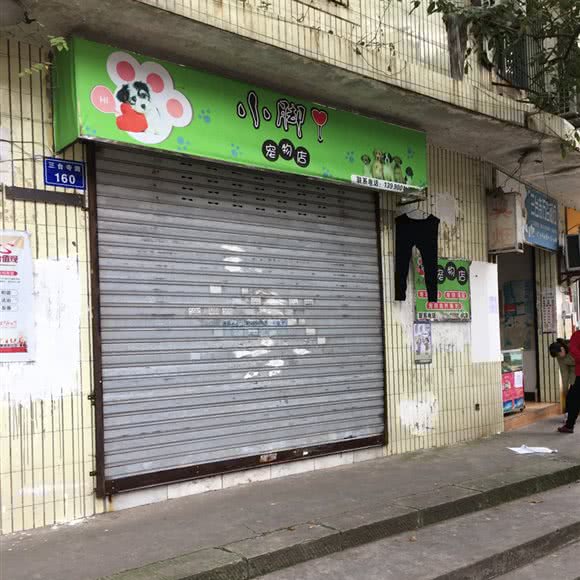 小脚丫宠物店:自贡市自流井区五星街附近