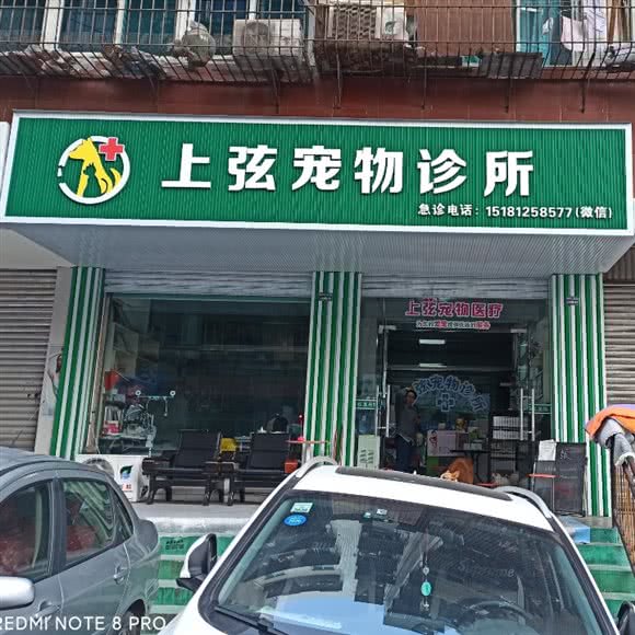 上弦宠物诊所:攀枝花市东区金瓯广场附近