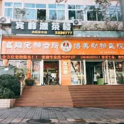 高端宠物会所:攀枝花市东区摩尔盈盛/中心广场附近