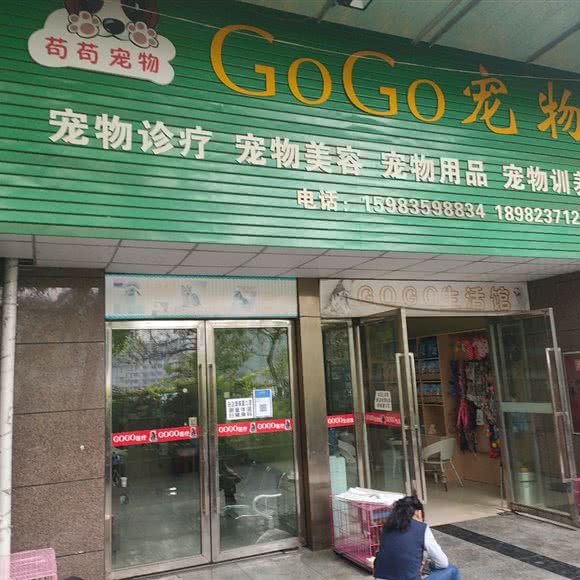 苟苟宠物:攀枝花市东区万象城/九附六附近