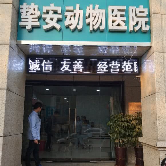 挚安动物医院:石家庄市桥西区西三教附近