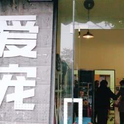 爱宠宠物:泸州市江阳区百子图附近