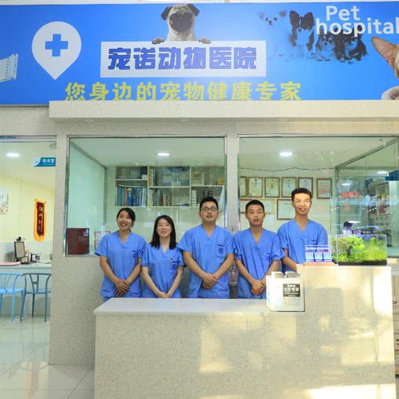 宠诺动物医院:泸州市龙马潭区龙马大道附近