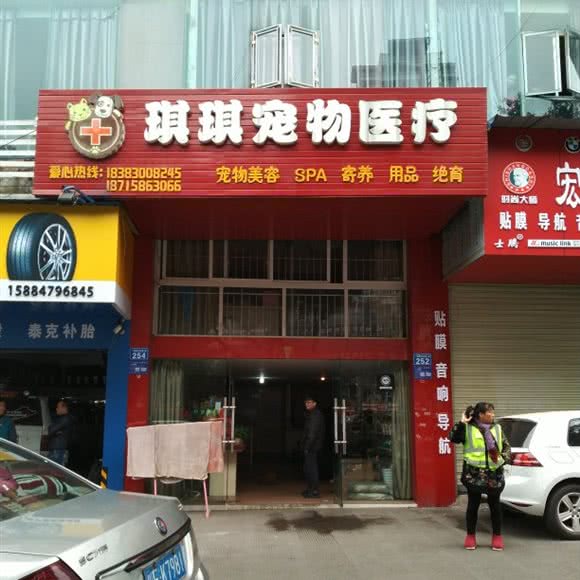琪琪宠物医疗:泸州市龙马潭区龙马大道附近