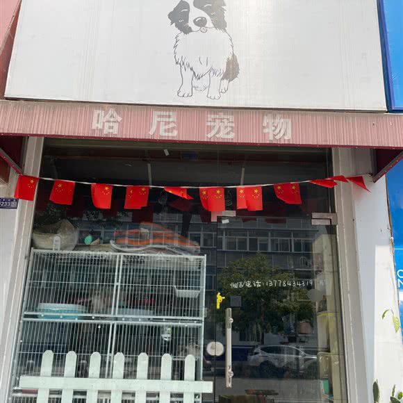 哈尼宠物:德阳市旌阳区世纪联华附近