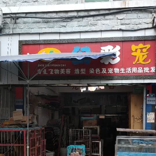 幻彩宠:德阳市旌阳区彩泉天街附近